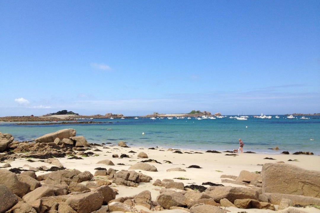 Photo of Others in Treguier