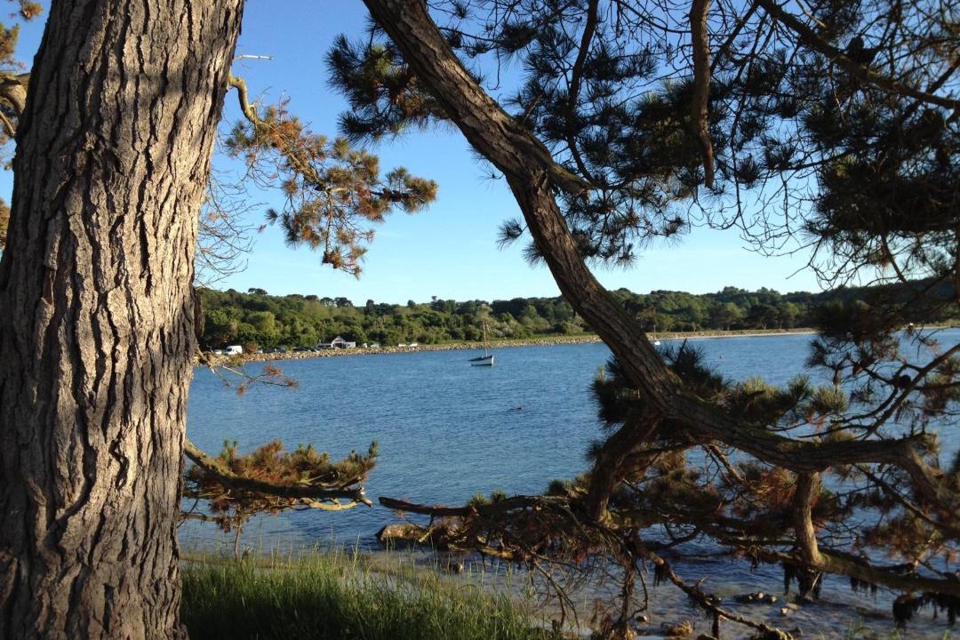 Photo of Others in Treguier