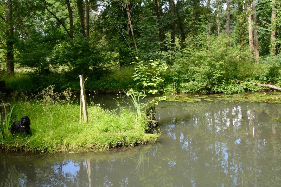 Photo of Others in Usson-du-Poitou