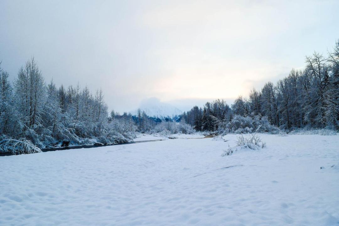 Photo of Outdoor in Alyeska