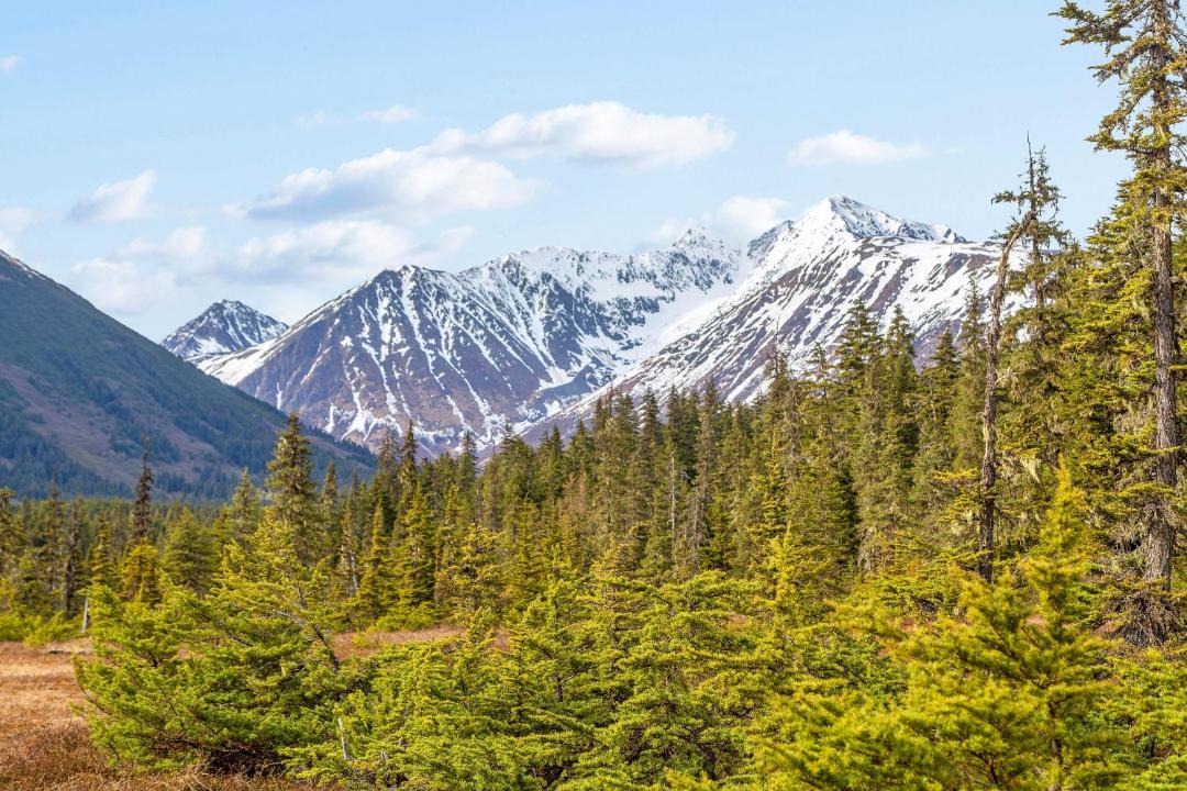 Photo of Others in Alyeska