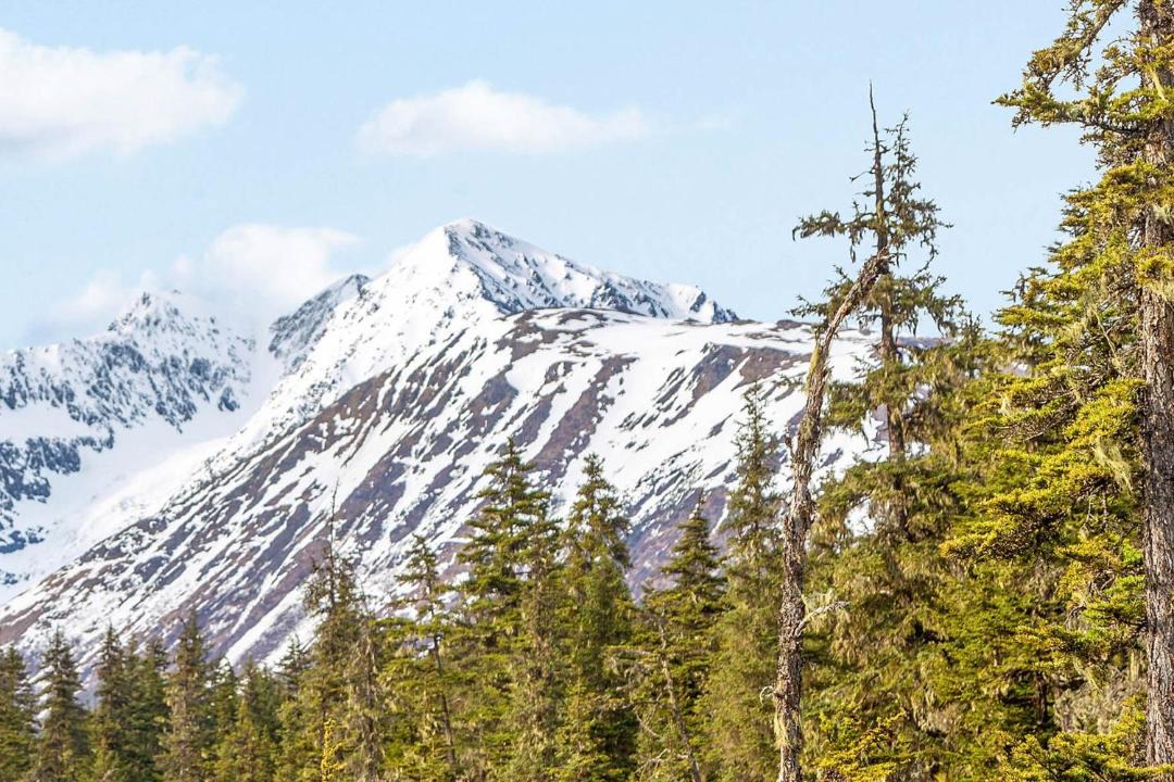 Photo of Others in Alyeska