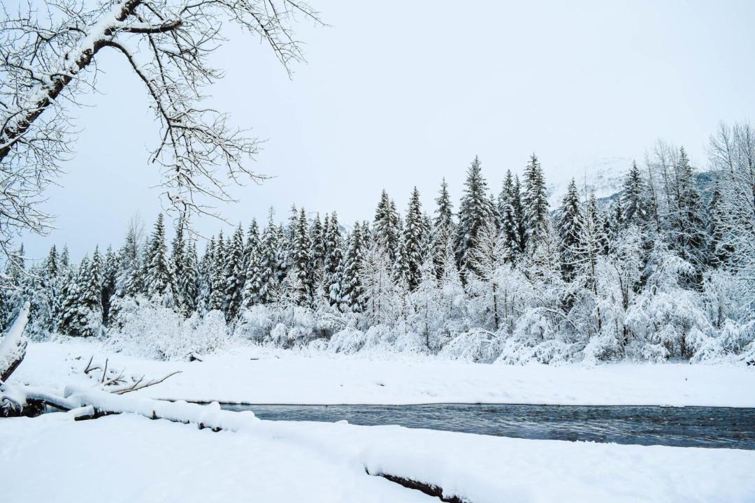 Photo of Others in Alyeska