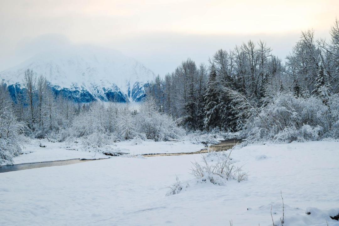 Photo of Others in Alyeska