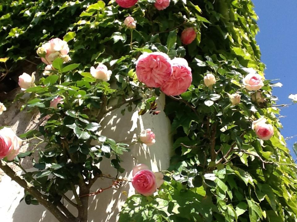 Photo of Others in Saint-Georges-sur-Cher