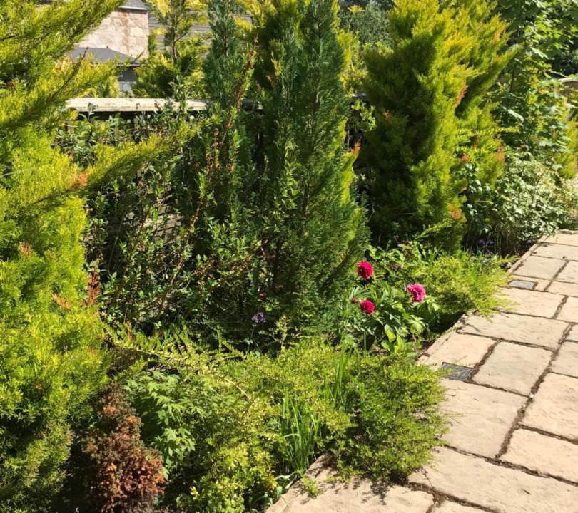 Photo of Others in Aboyne