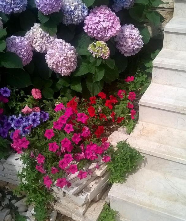 Photo of Others in Lozica