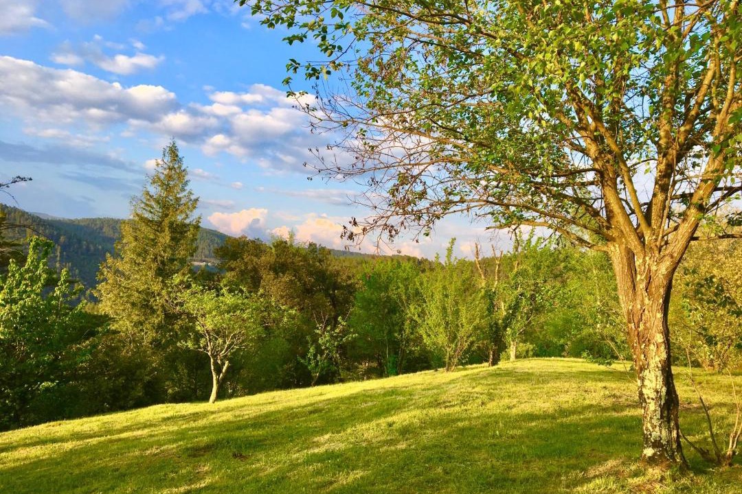 Photo of Others in Chamborigaud