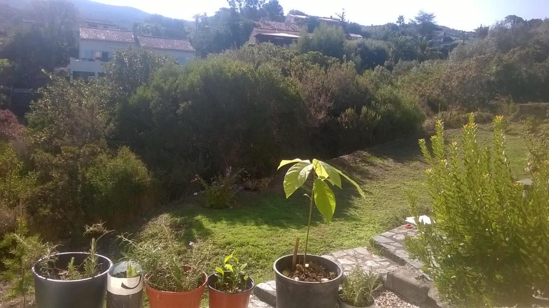 Photo of Others in Grosseto-Prugna