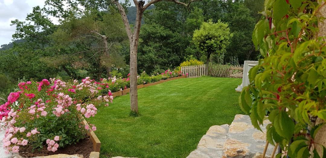 Photo of Others in Bargemon