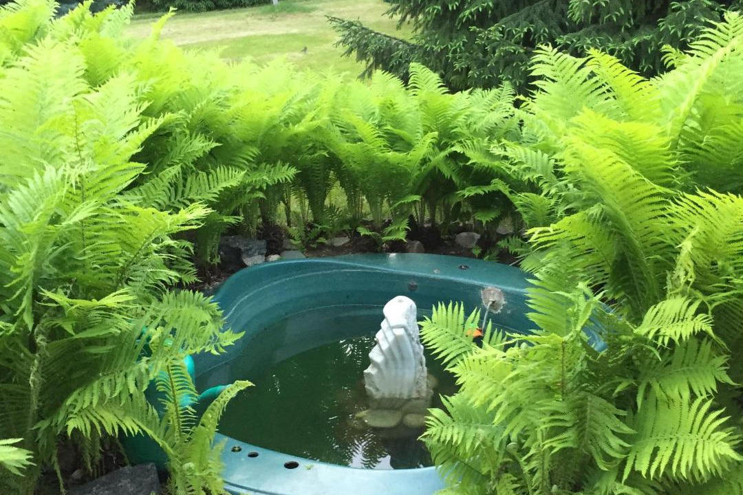 Photo of Outdoor in Novo-Peredelkino