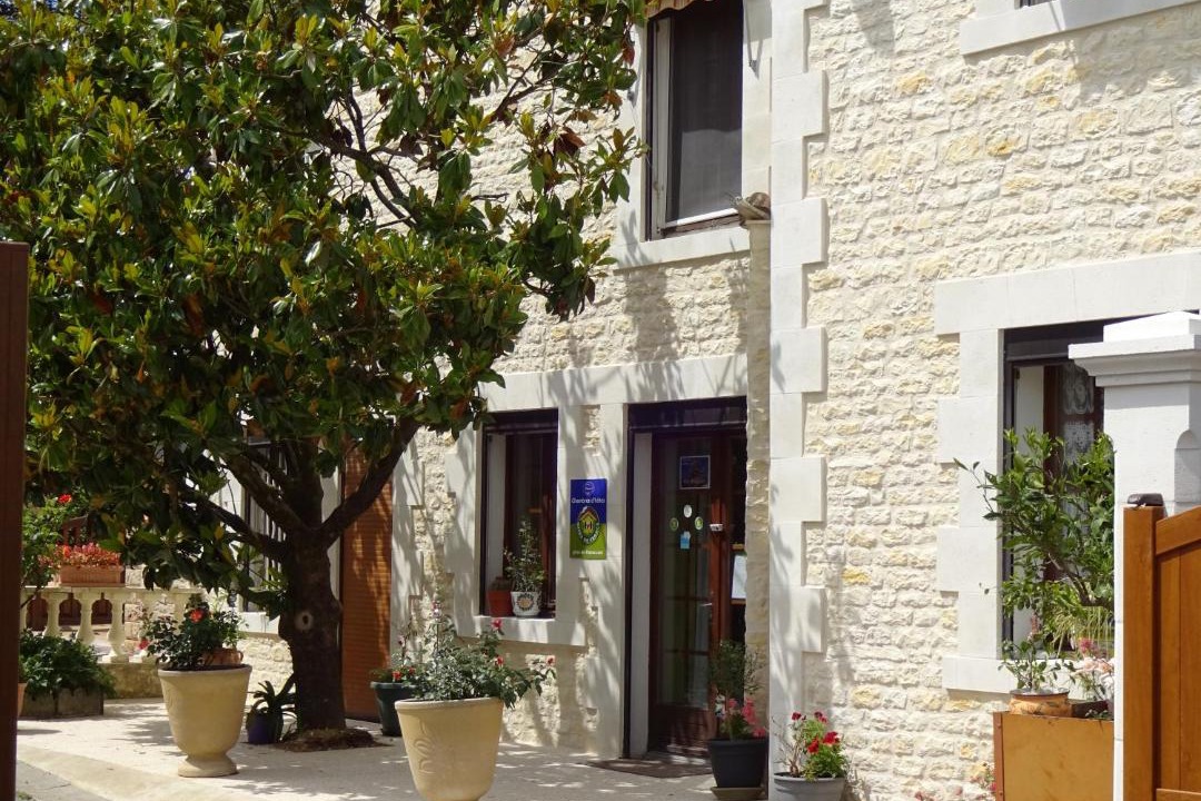 Photo of Others in Luxe