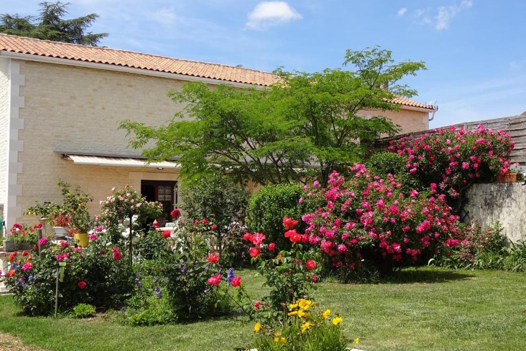 Photo of Others in Luxe