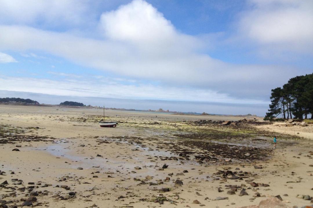 Photo of Others in Treguier