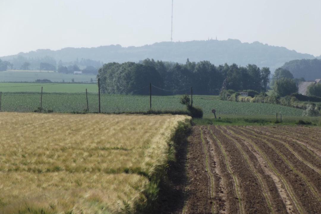 Photo of Others in Steenvoorde