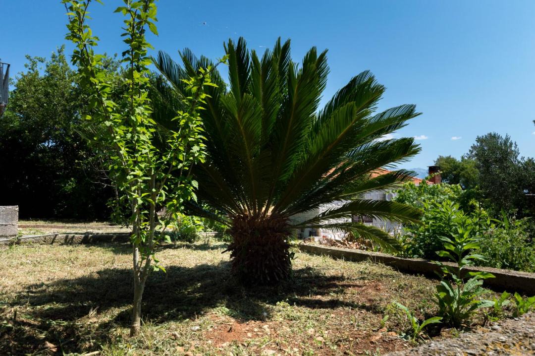 Photo of Outdoor in Sumartin