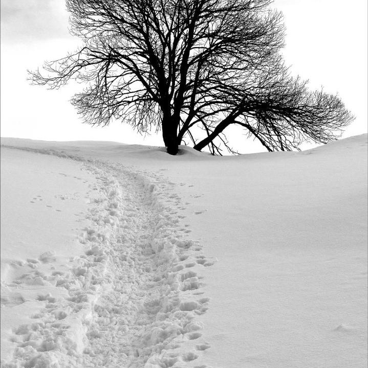 Photo of Outdoor in Bourg-Saint-Maurice