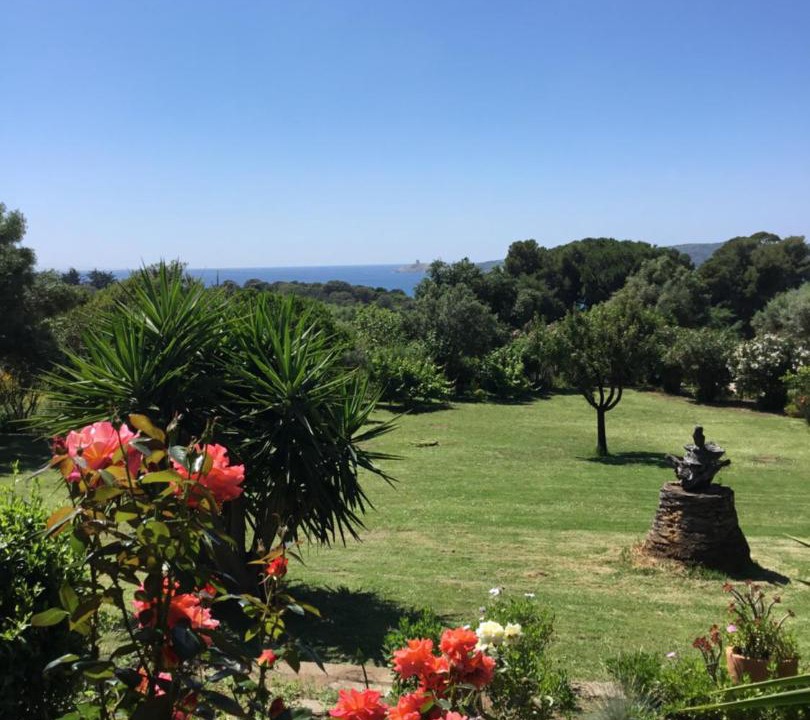 Photo of Outdoor in Cargese