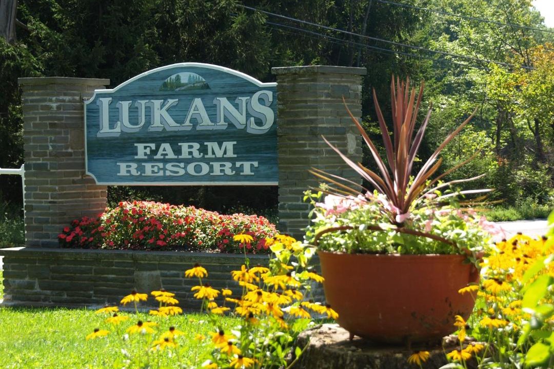 Photo of Others in White Mills