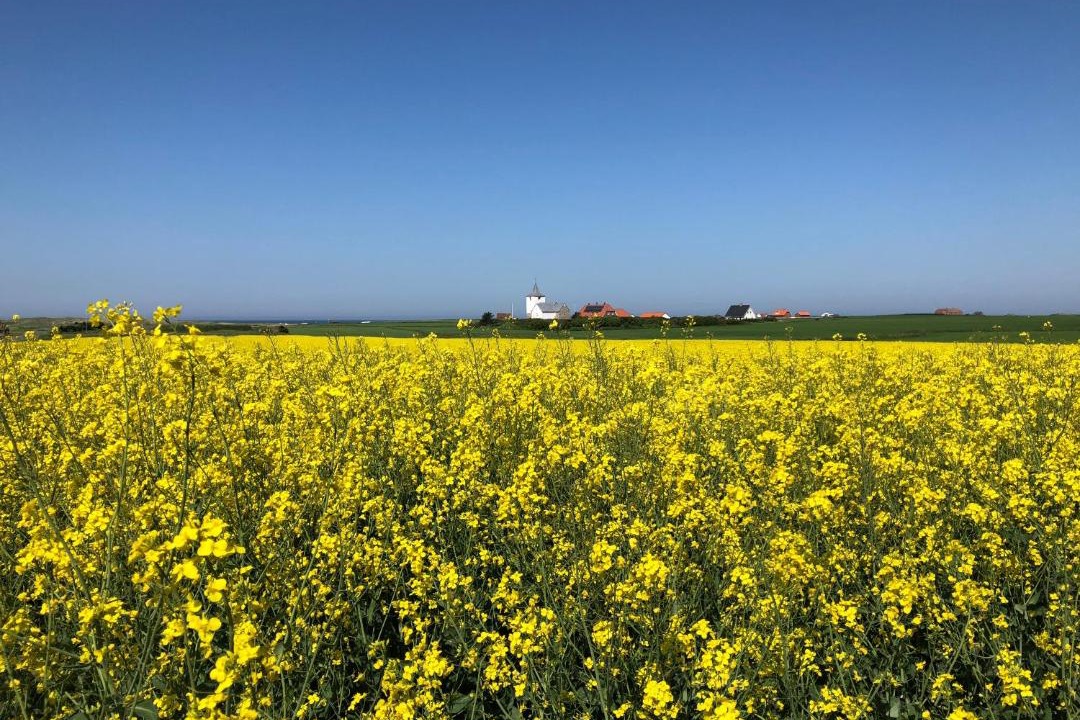 Photo of Others in Lemvig