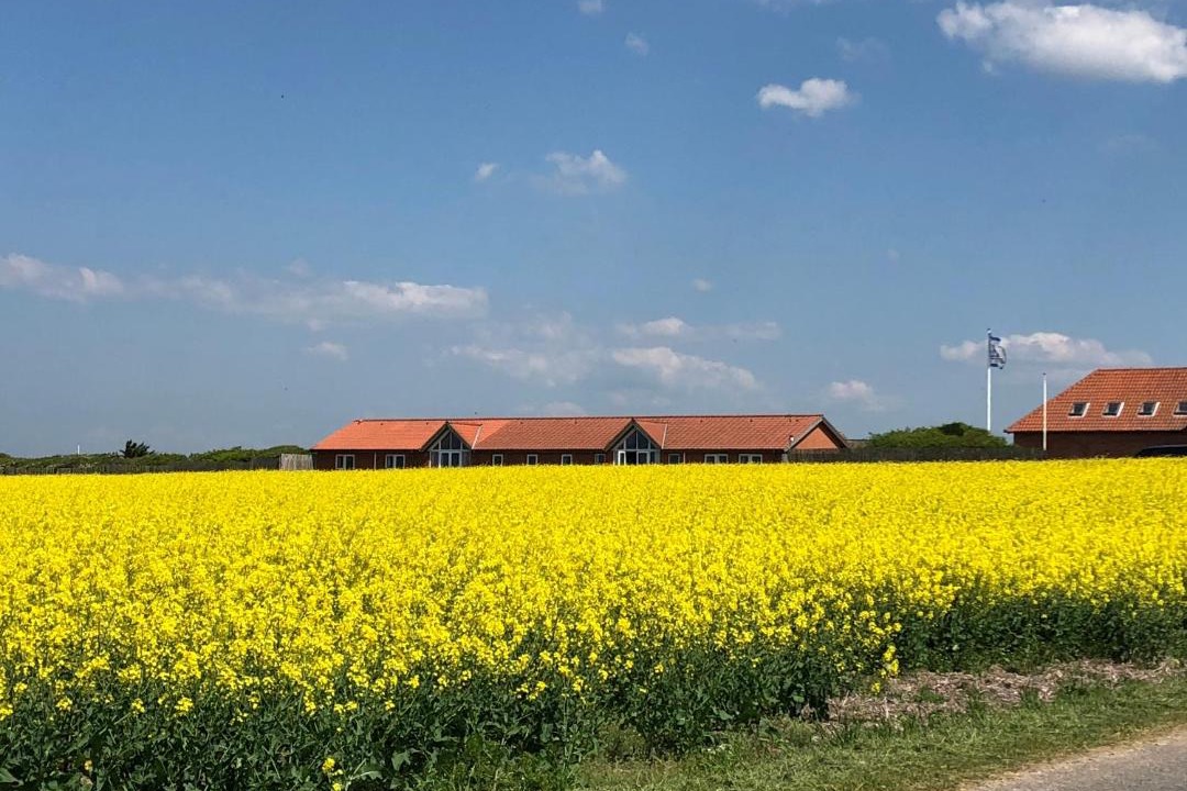 Photo of Others in Lemvig