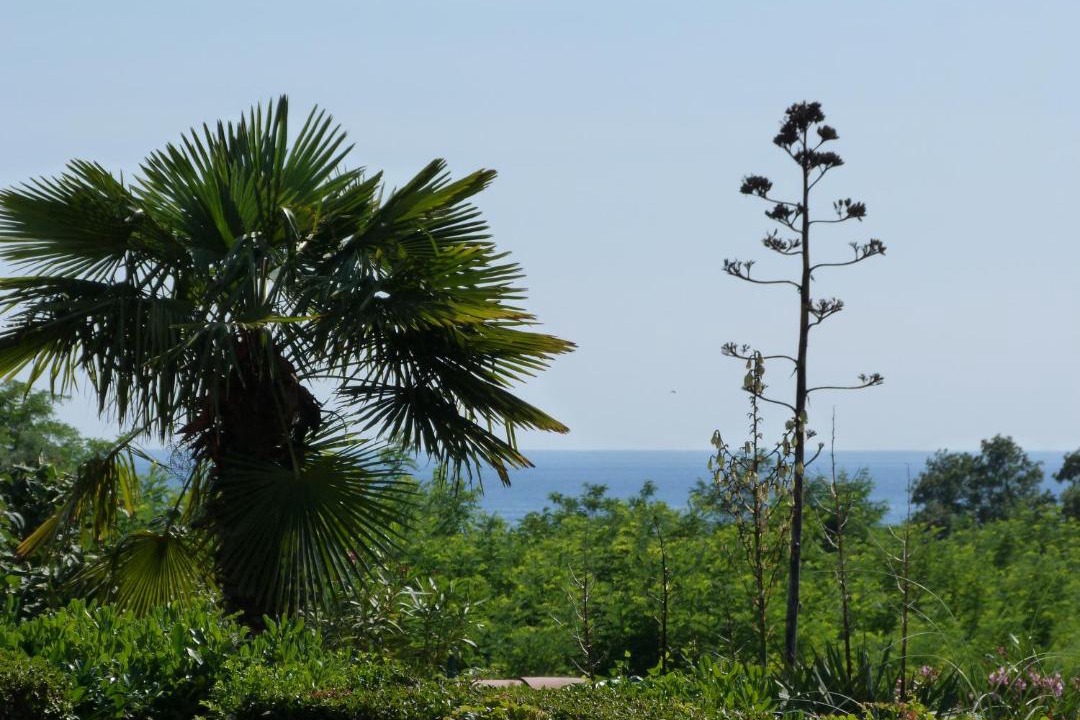 Photo of Outdoor in Mareda
