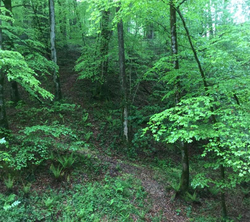 Photo of Others in Molere