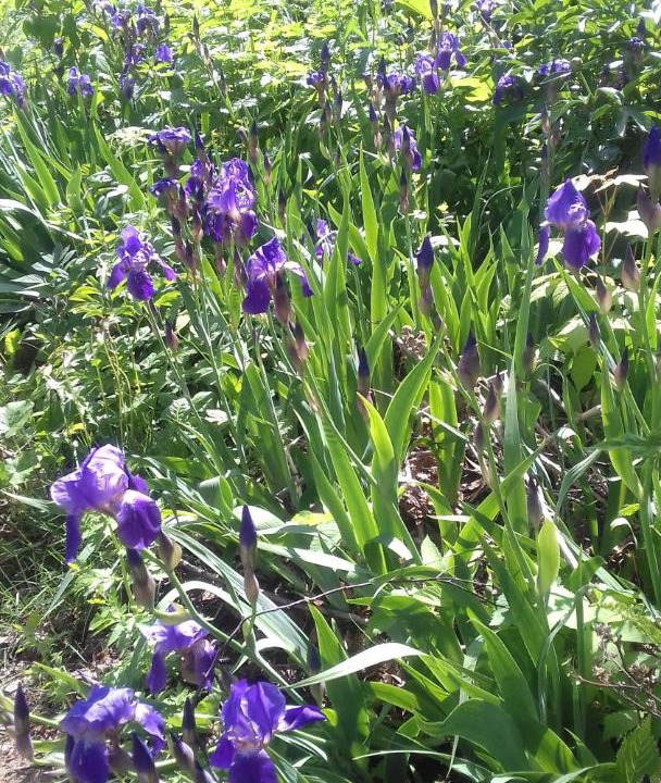 Photo of Others in Nizhniy Novgorod City Centre