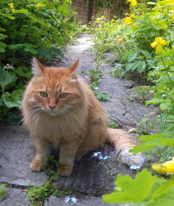 Photo of Others in Nizhniy Novgorod City Centre