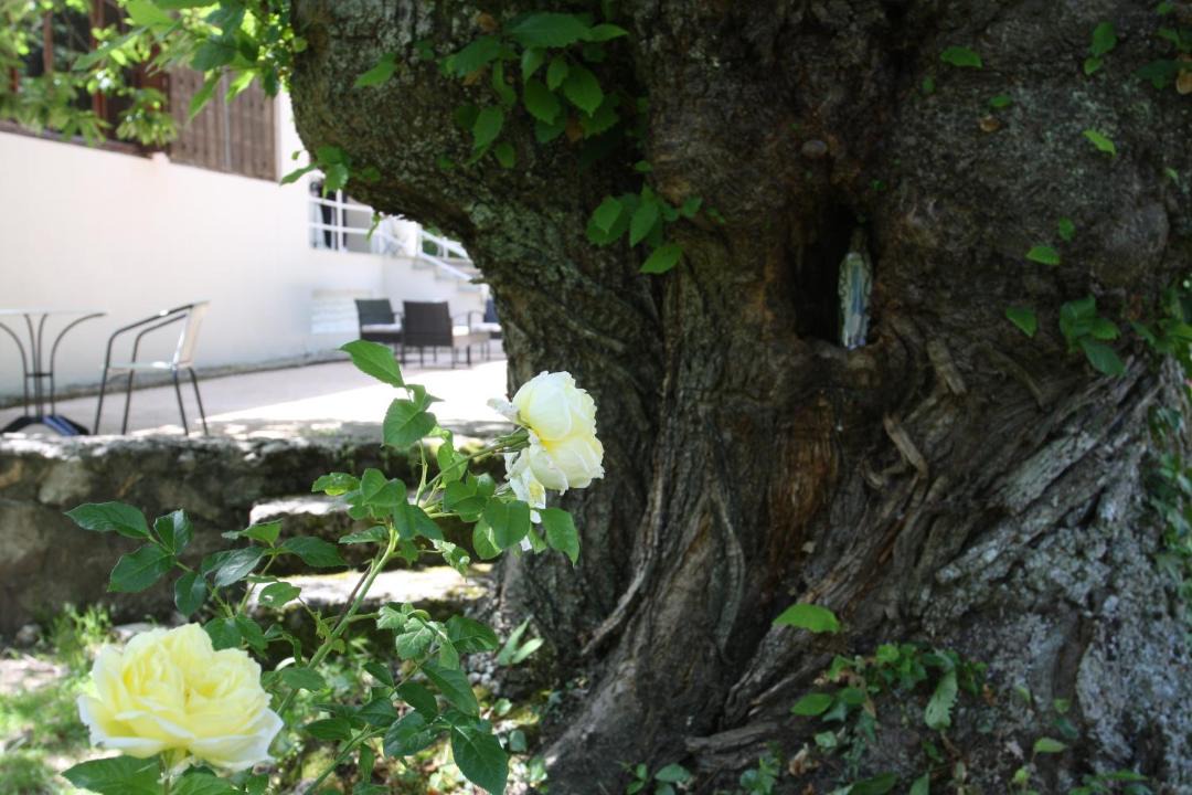 Photo of Outdoor in Bocognano