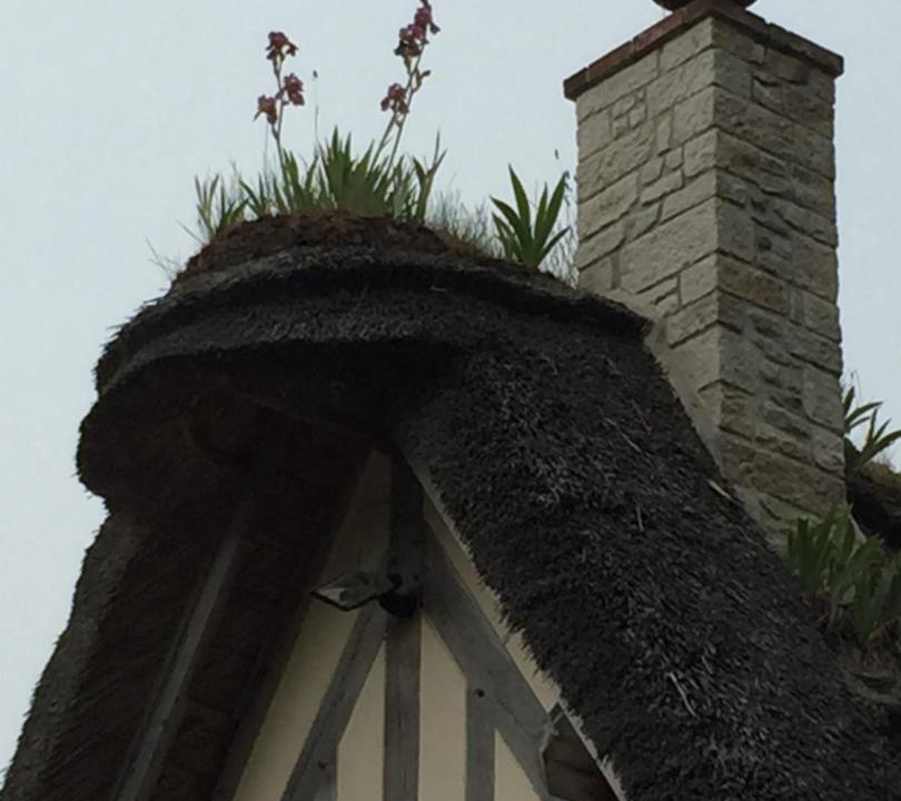 Photo of Others in Saint-Samson-de-la-Roque