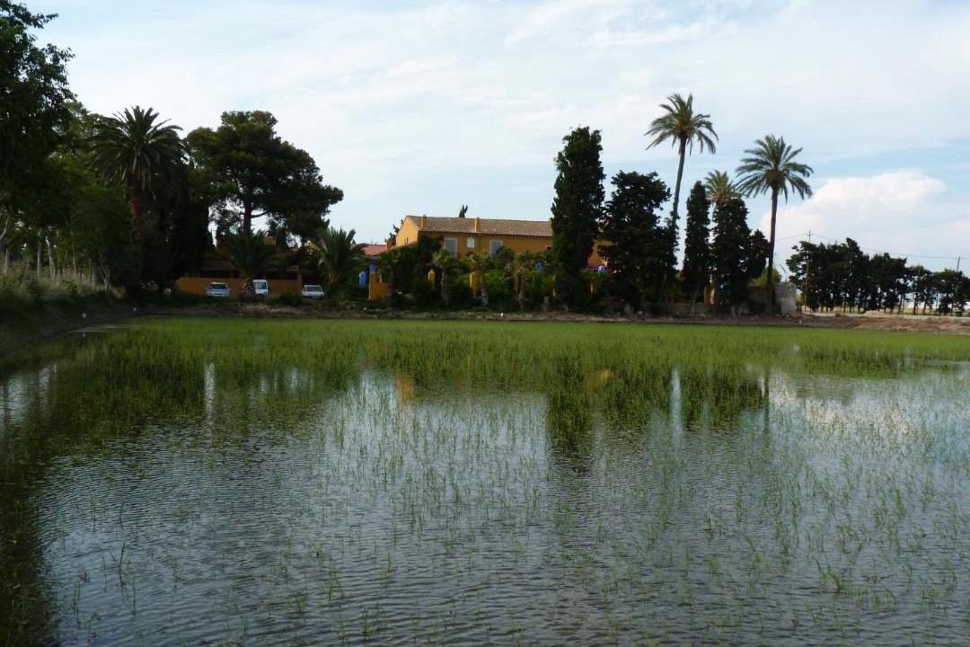 Photo of Outdoor in L'Aldea