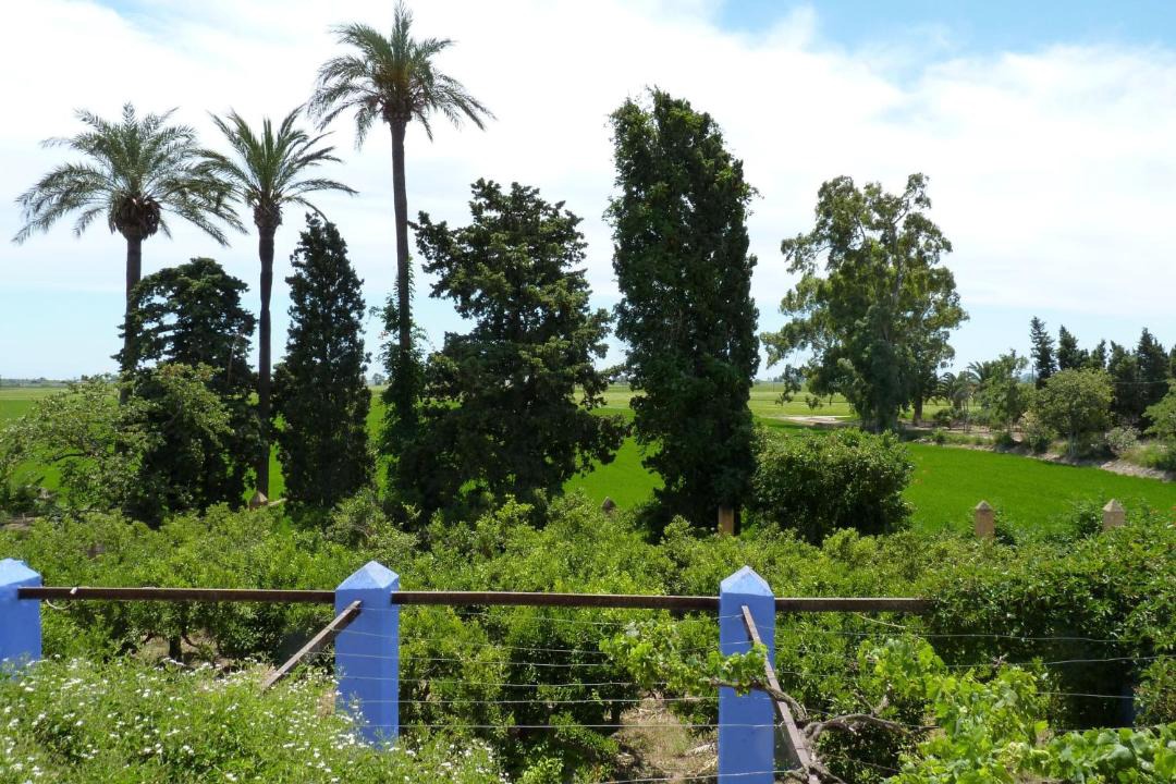 Photo of Others in L'Aldea