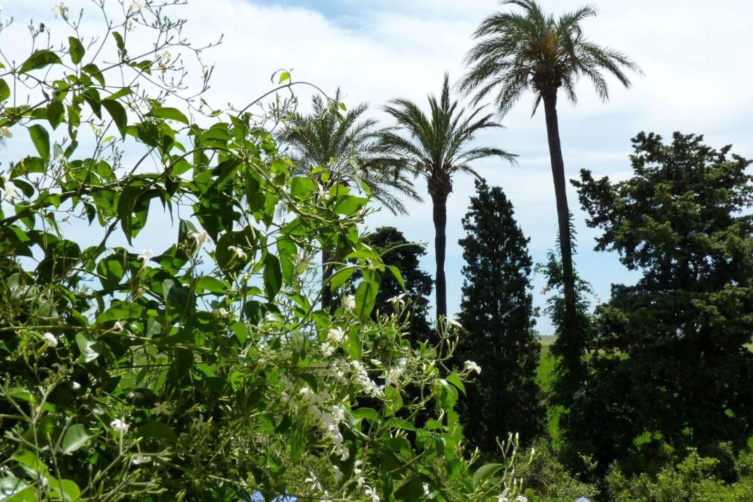 Photo of Outdoor in L'Aldea