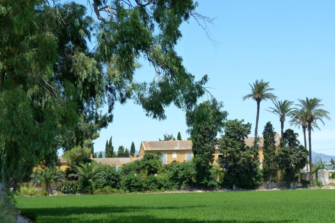 Photo of Others in L'Aldea