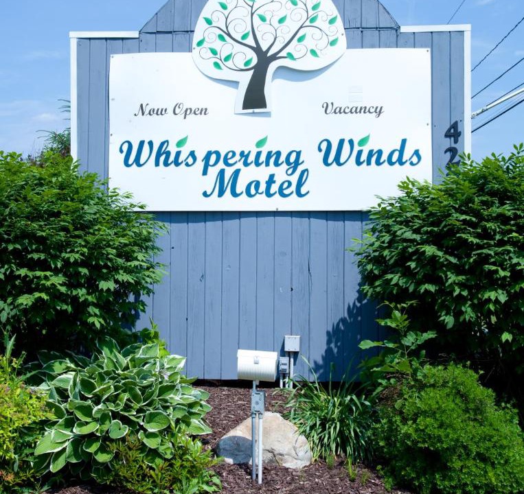 Photo of Others in Sennett