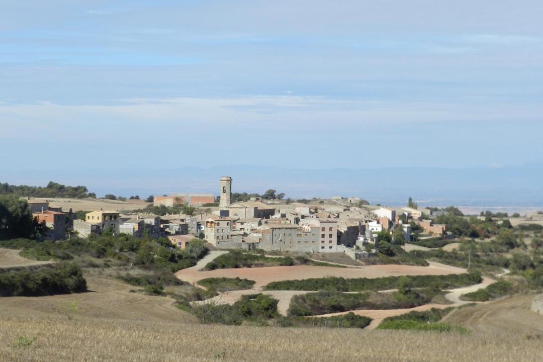 Photo of Buildings in Belltall