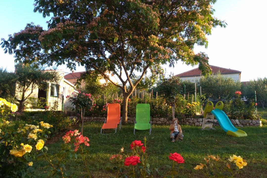 Photo of Others in Podgradina