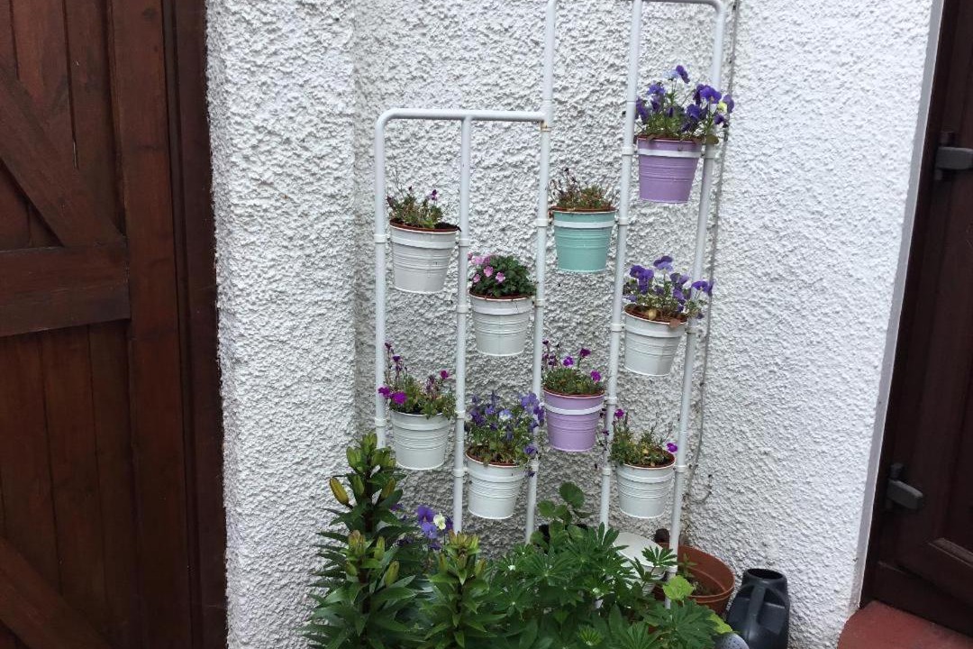 Photo of Others in Longcroft