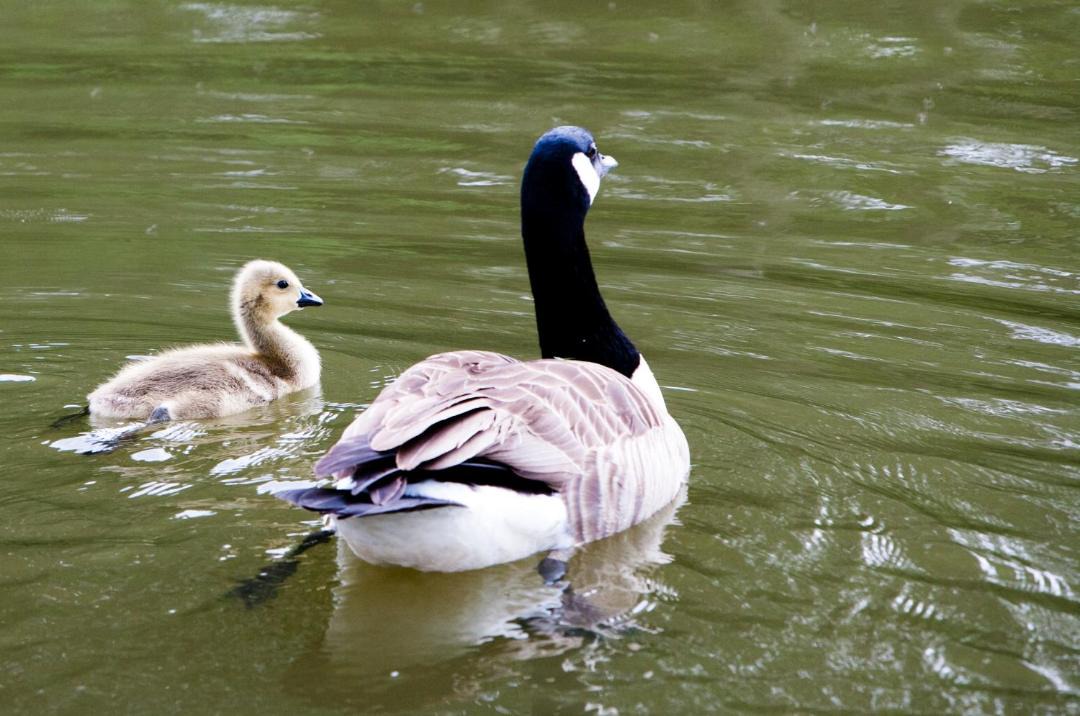 Photo of Others in Bridgwater