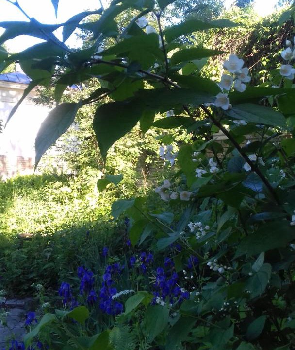 Photo of Outdoor in Nizhniy Novgorod City Centre