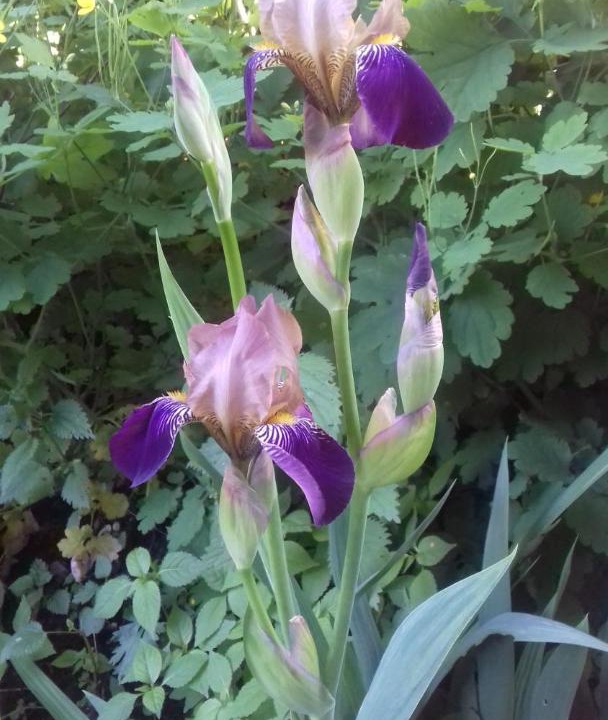 Photo of Others in Nizhniy Novgorod City Centre