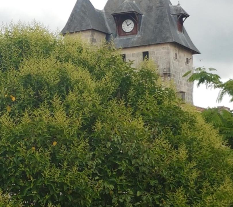 Photo of Others in Saint-Jean-d'Angely