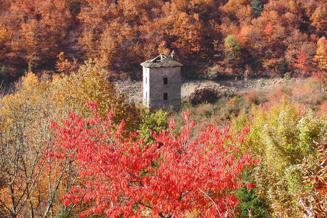 Photo of Others in Villefort