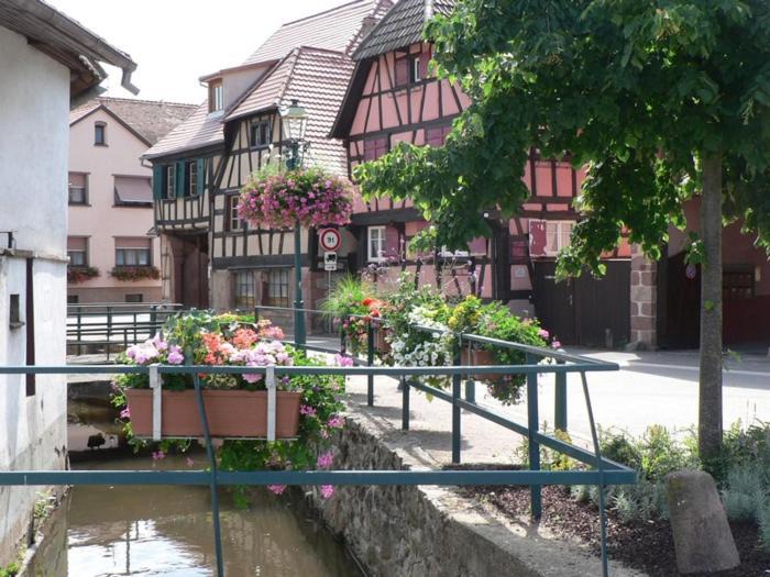 Photo of Others in Scherwiller