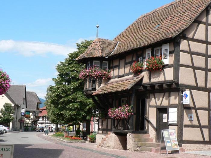 Photo of Buildings in Scherwiller