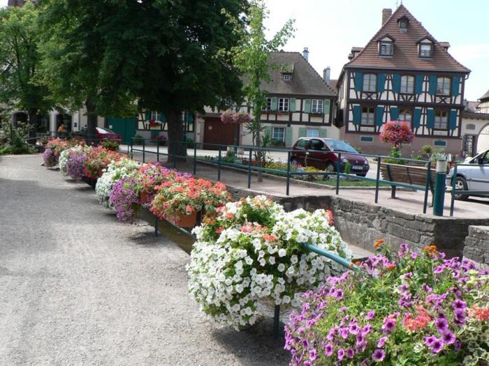 Photo of Buildings in Scherwiller