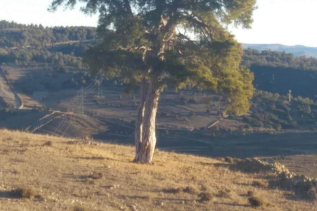 Photo of Outdoor in Portell de Morella