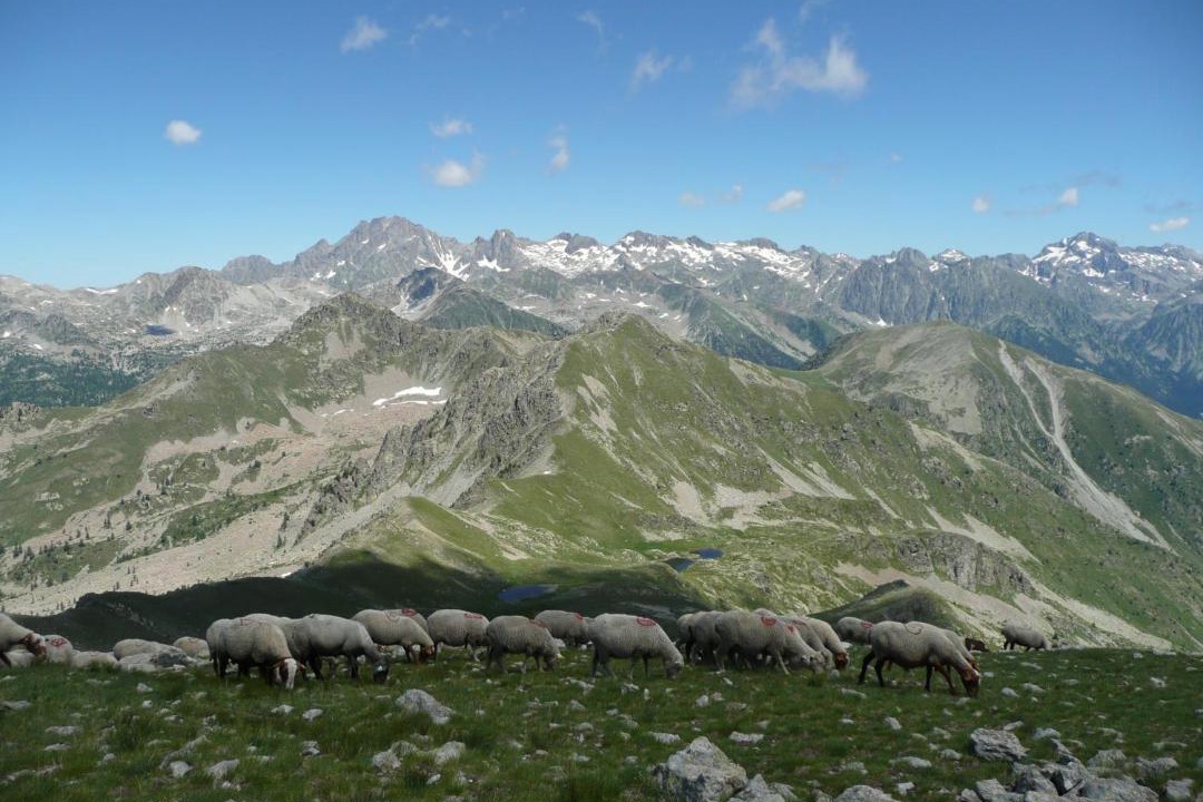 Photo of Others in Saint-Dalmas