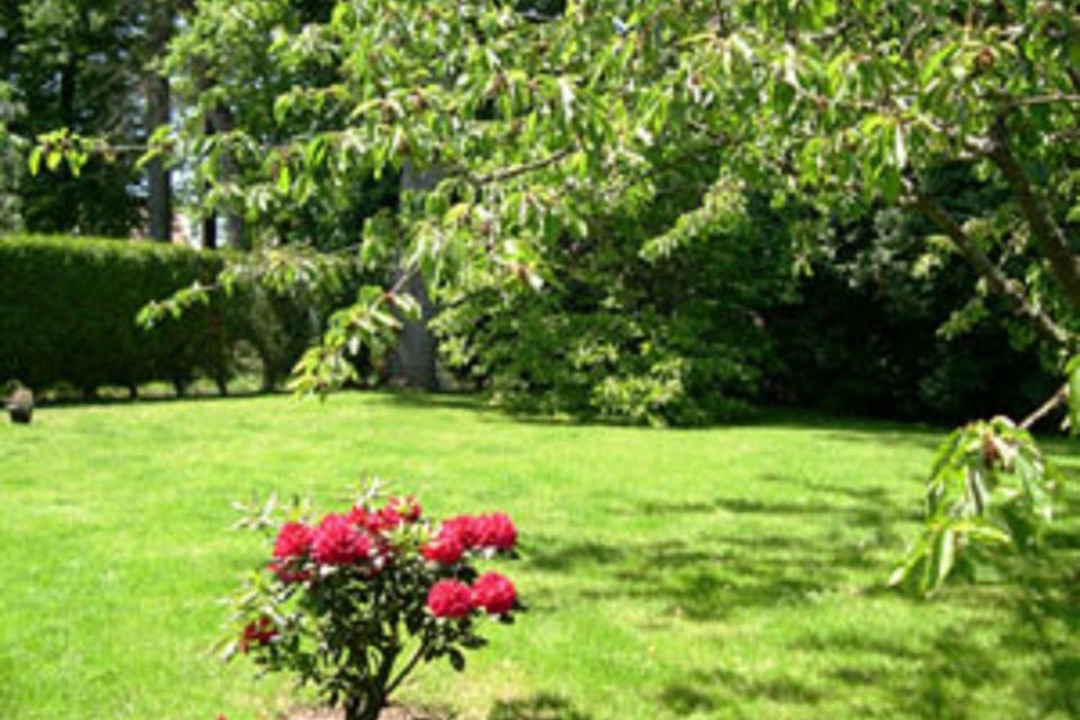 Photo of Others in Magny-les-Hameaux